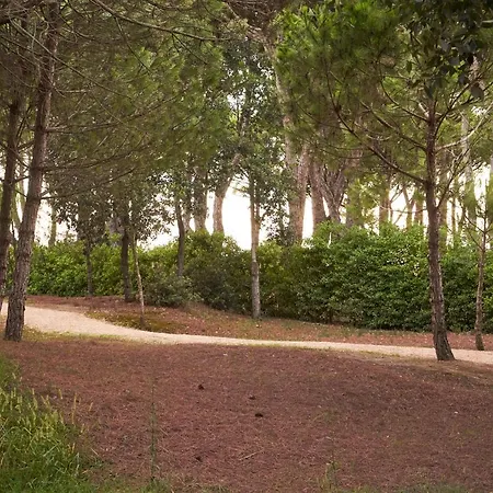 La Pineta