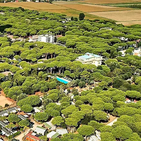 La Pineta